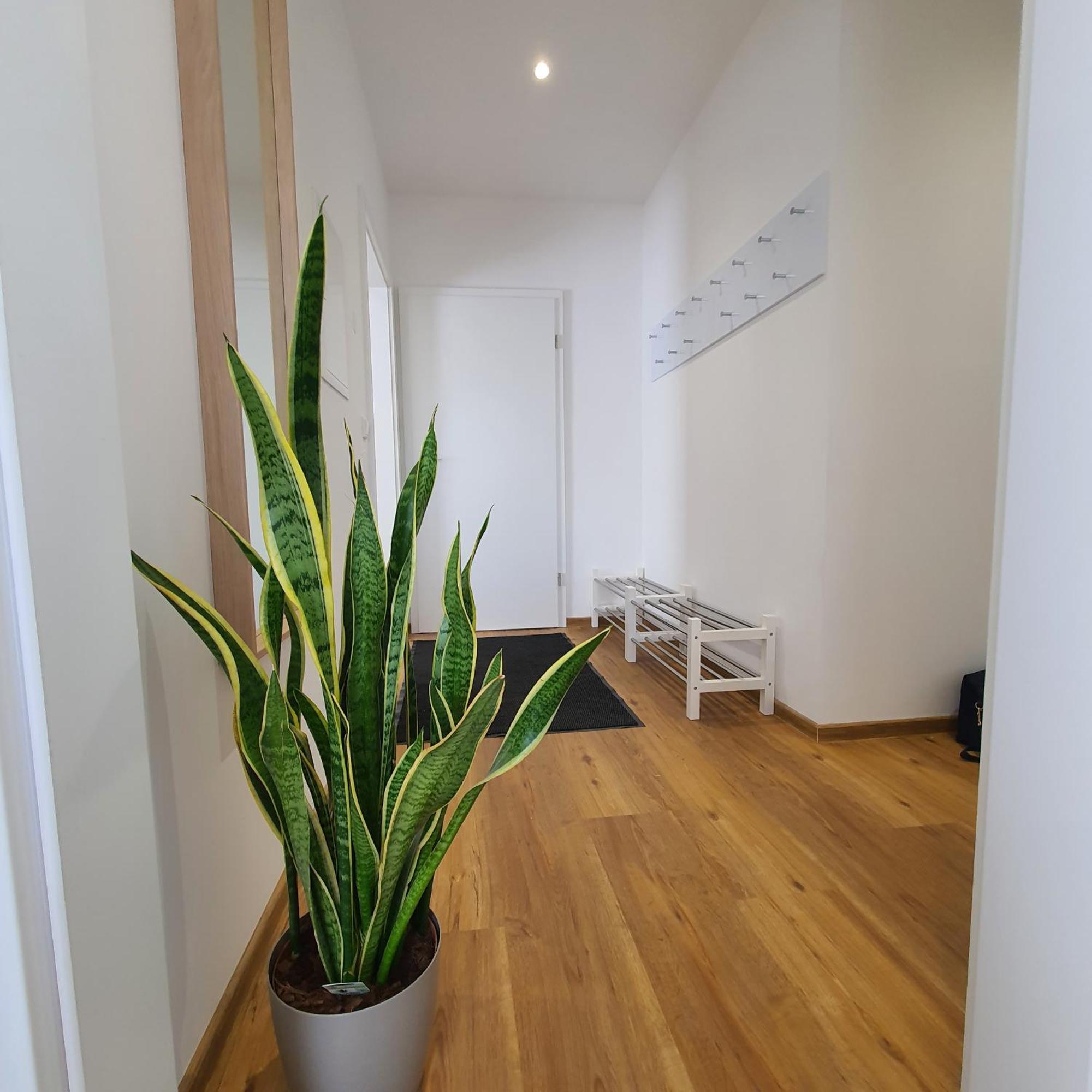 Laineckerstrasse 8 In 95445 Bayreuth Apartman Kültér fotó
